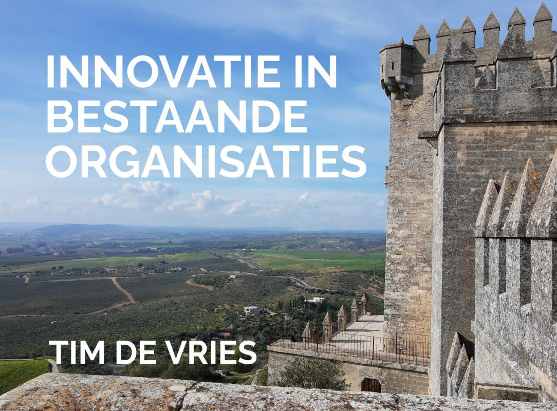 Omslag van Innovatie in bestaande organisaties