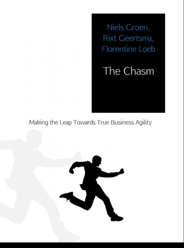 Omslag van The chasm
