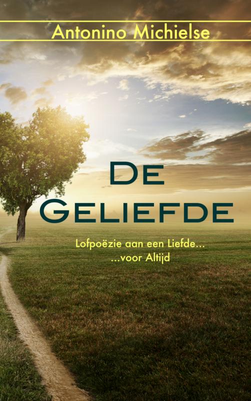 Omslag van De geliefde