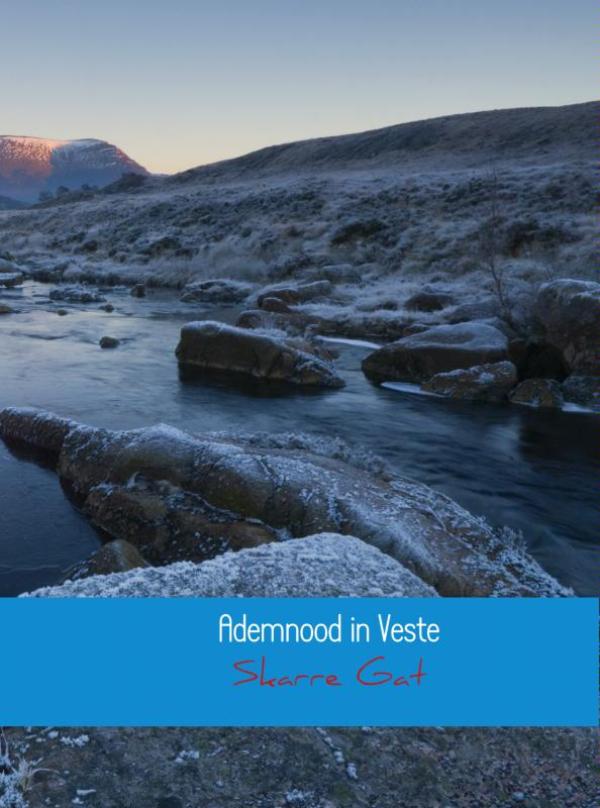 Omslag van Ademnood in Veste