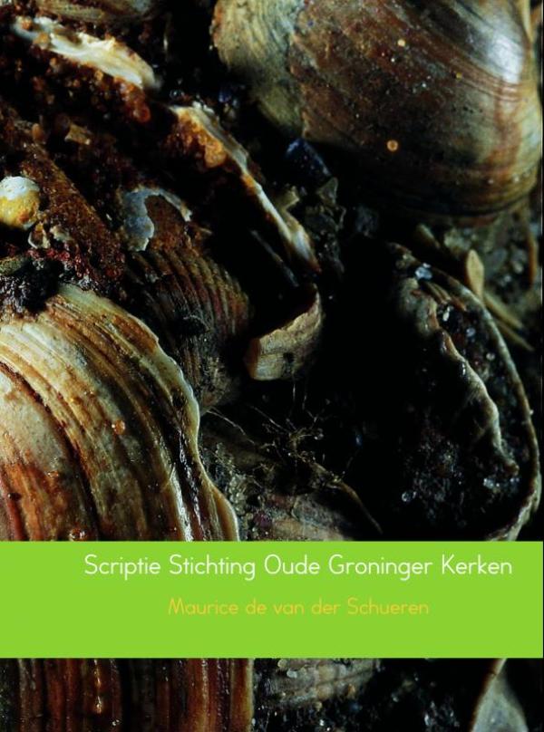 Omslag van Scriptie Stichting Oude Groninger Kerken