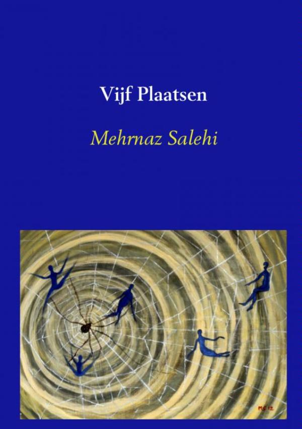 Omslag van Vijf plaatsen