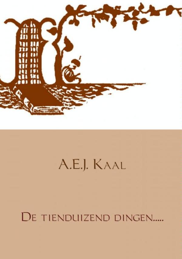 Omslag van De tienduizend dingen.....