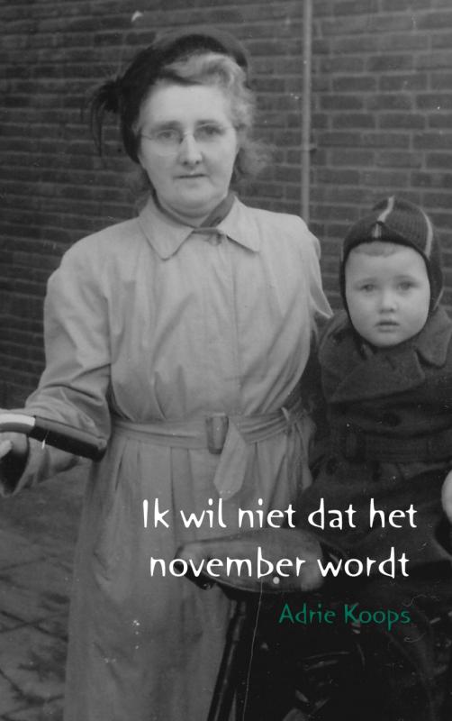 Omslag van Ik wil niet dat het november wordt