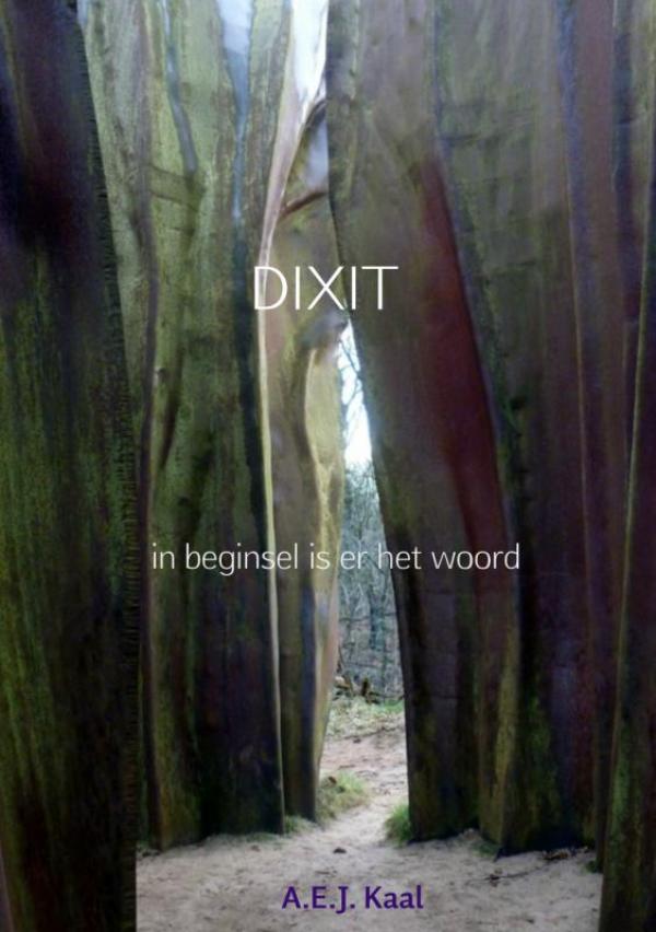 Omslag van Dixit