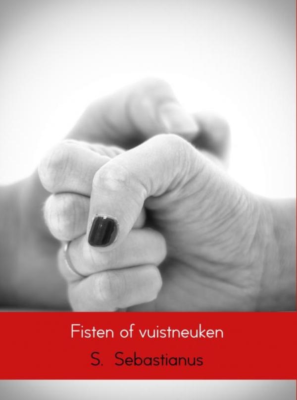 Omslag van Fisten of vuistneuken