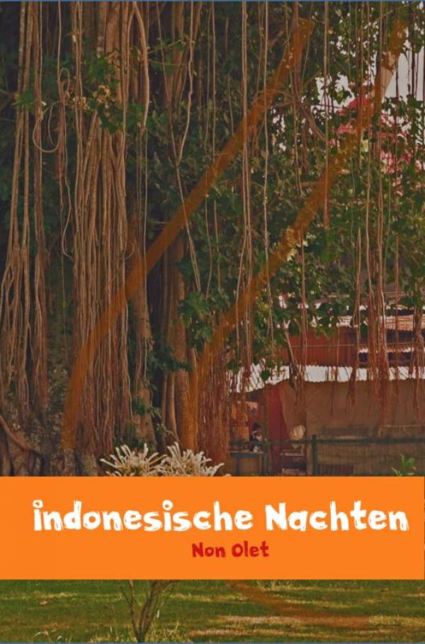 Omslag van Indonesische Nachten