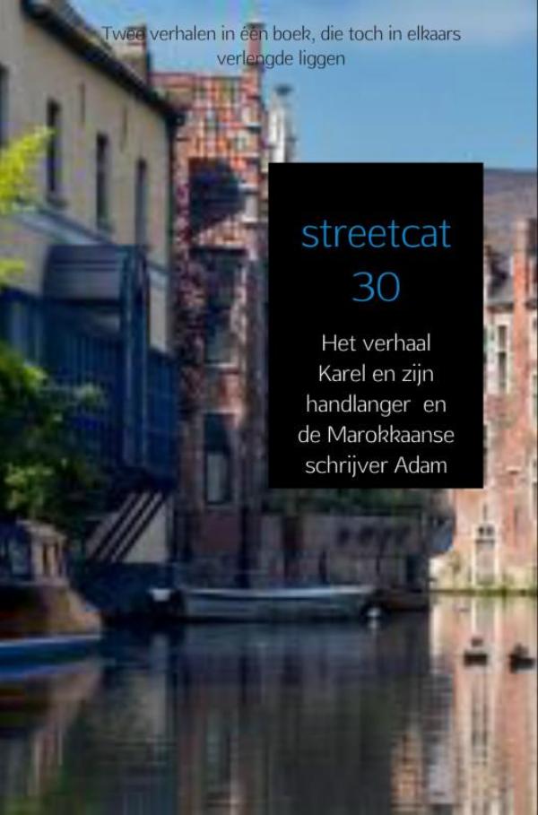 Omslag van Streetcat 30