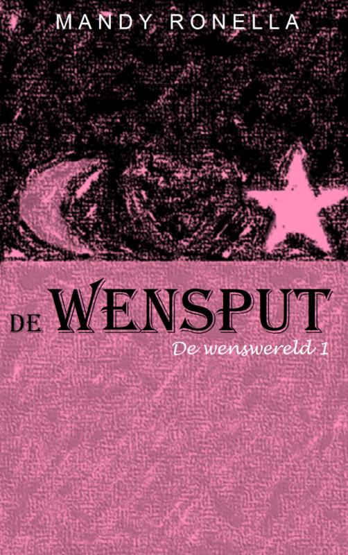 Omslag van De wensput