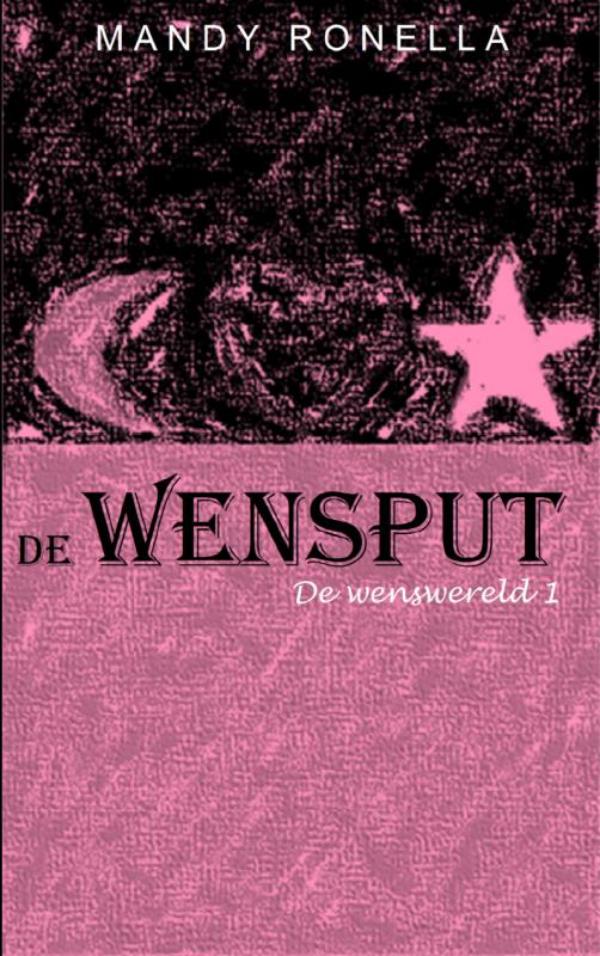 Omslag van De wensput