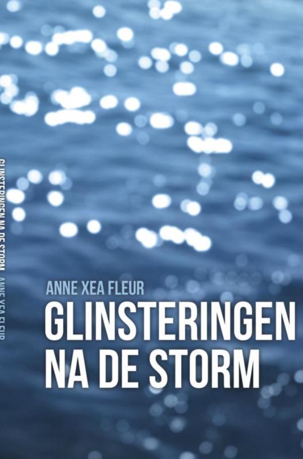 Omslag van Glinsteringen na de storm