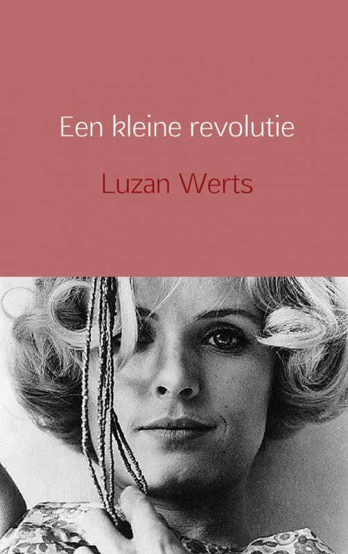 Omslag van Een kleine revolutie