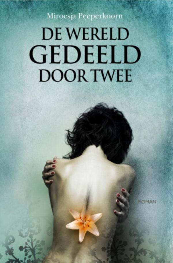 Omslag van De wereld gedeeld door twee
