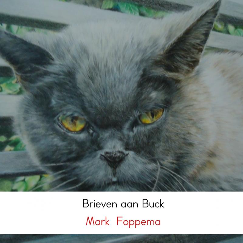 Omslag van Brieven aan Buck