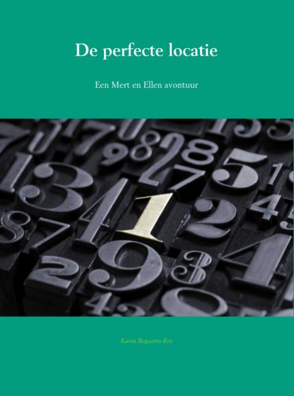 Omslag van De perfecte locatie
