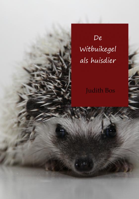 Omslag van De witbuikegel als huisdier