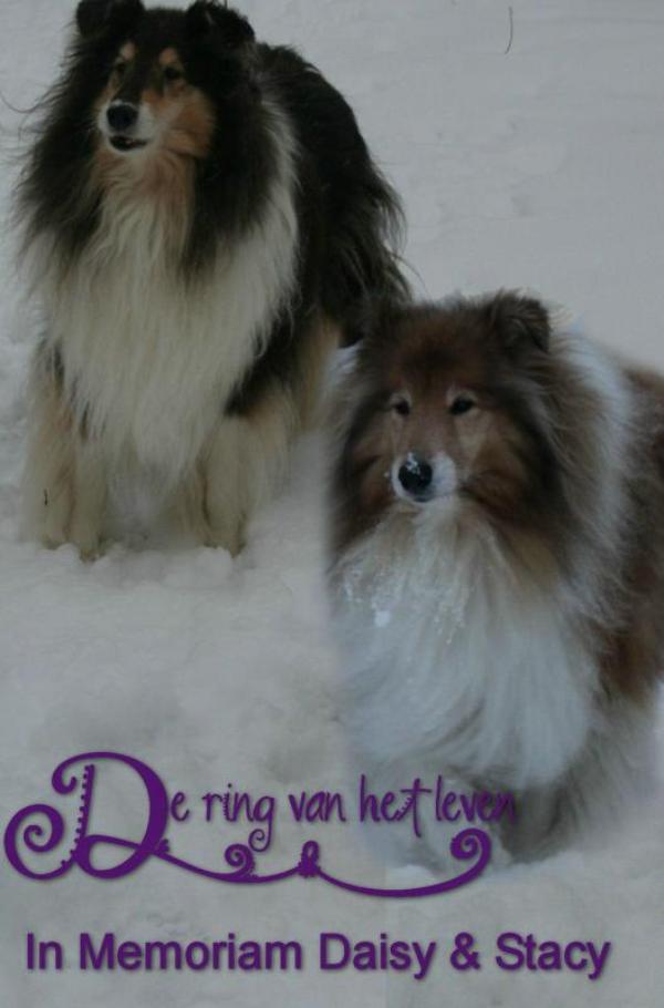 Omslag van De ring van het leven