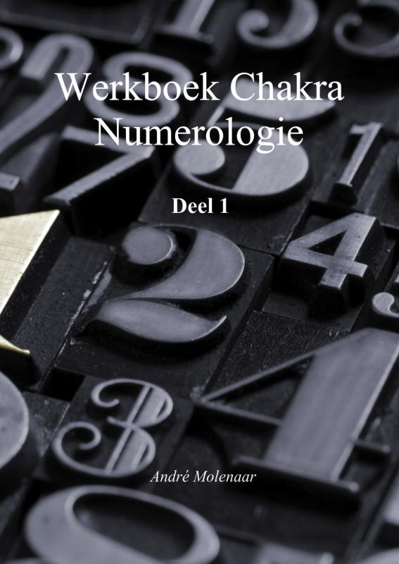 Omslag van Werkboek