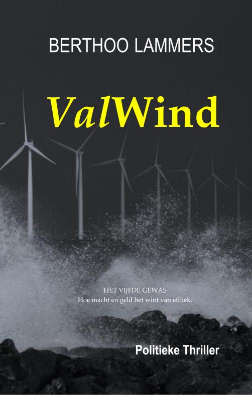 Omslag van Valwind
