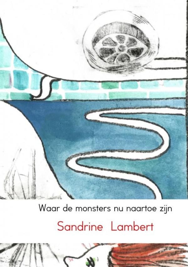Omslag van Waar de monsters nu naartoe zijn