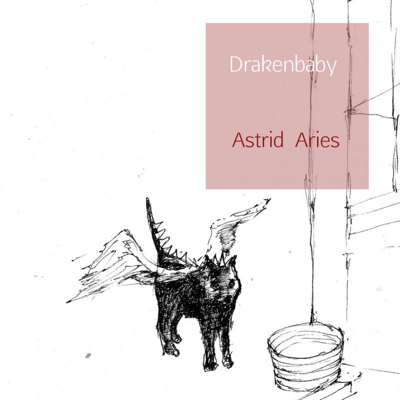 Omslag van Drakenbaby