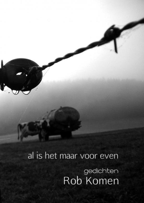Omslag van Al is het maar voor even