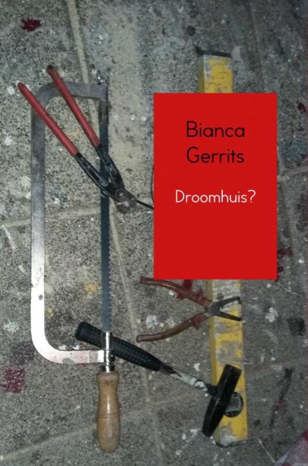Omslag van Droomhuis?