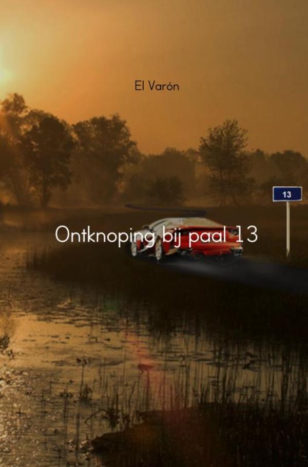 Omslag van Ontknoping bij paal 13