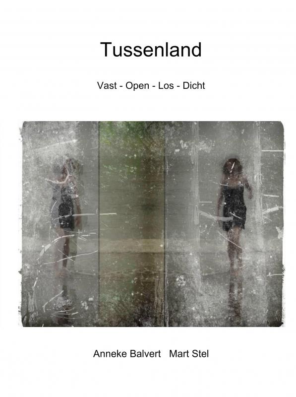 Omslag van Tussenland