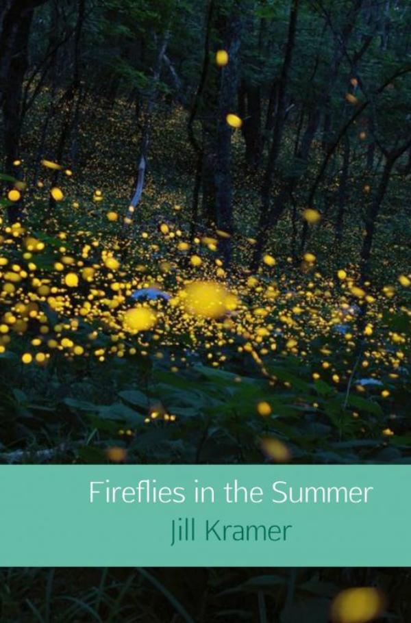 Omslag van Fireflies in the Summer