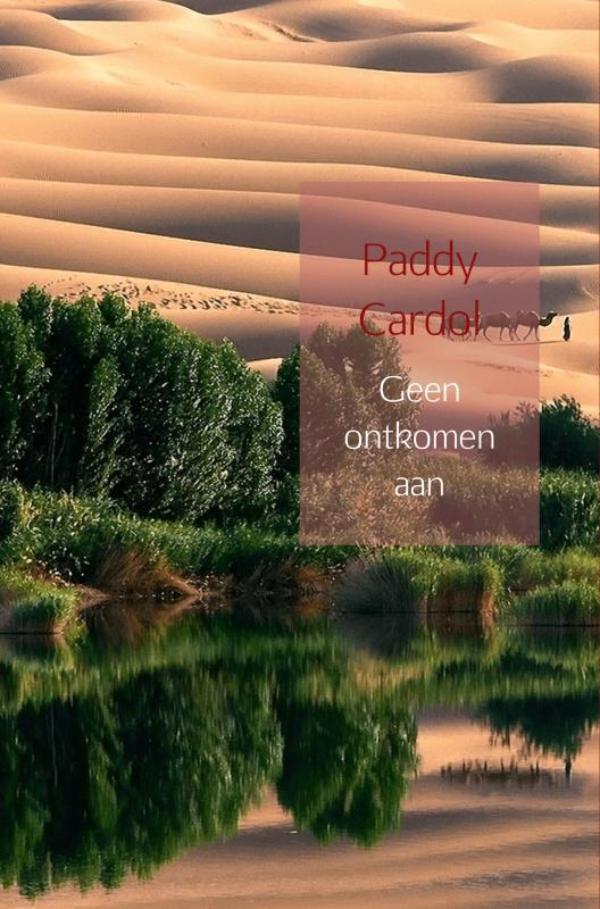 Omslag van Geen ontkomen aan
