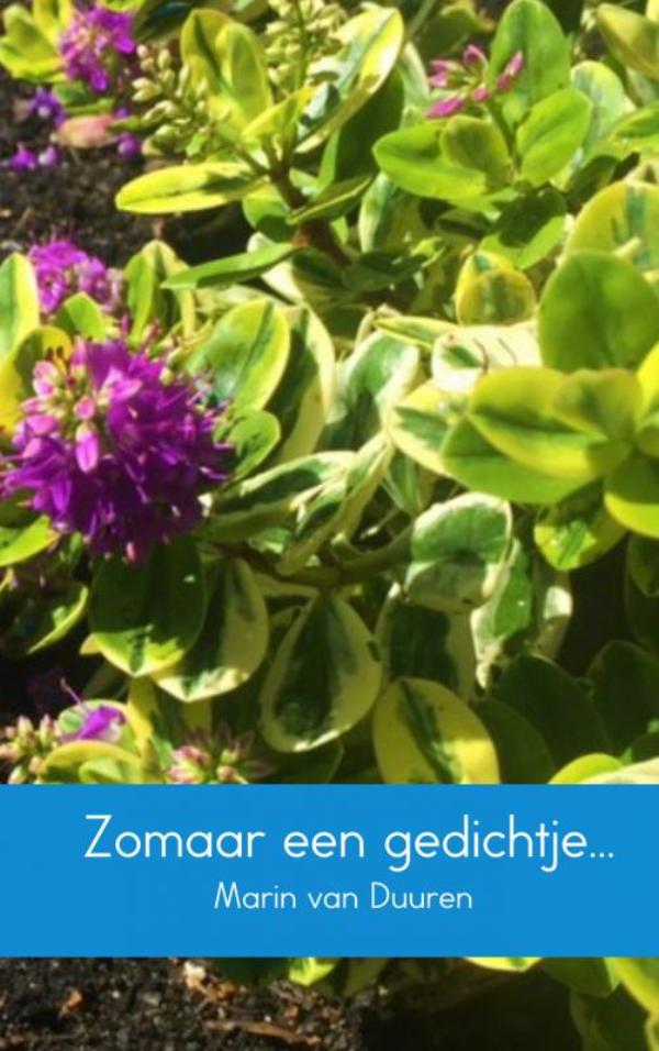 Omslag van Zomaar een gedichtje...