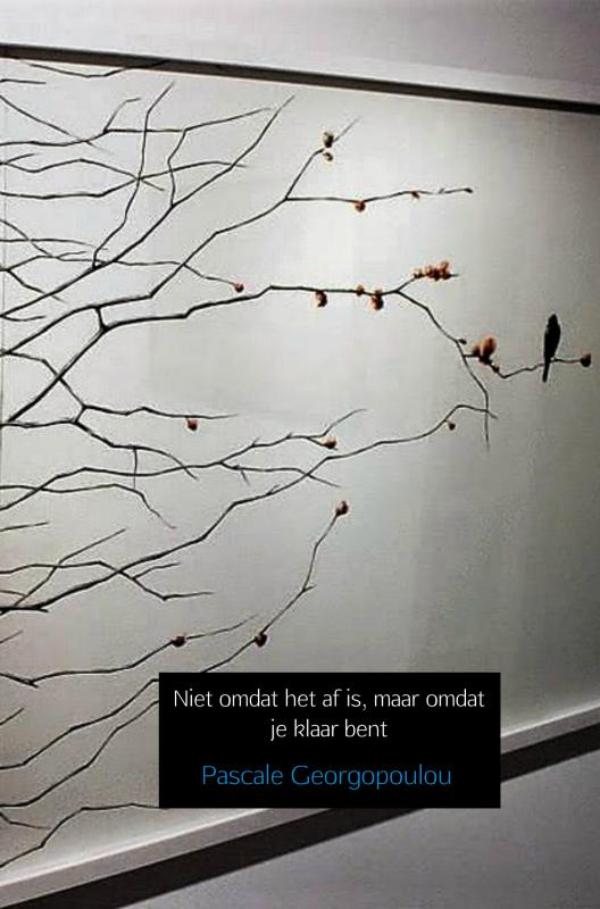 Omslag van Niet omdat het af is, maar omdat je klaar bent