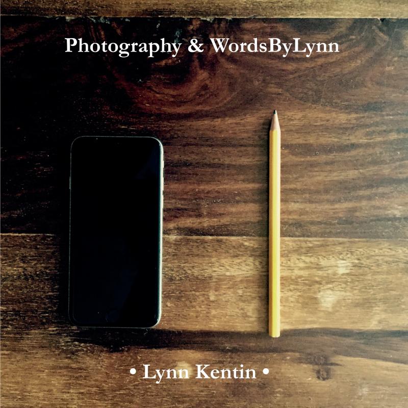 Omslag van Photography & WordsByLynn
