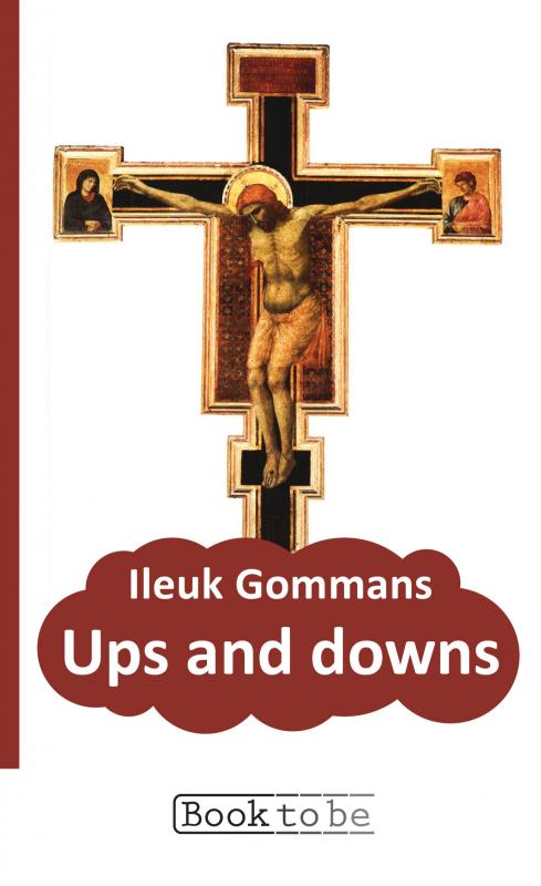 Omslag van Ups and downs