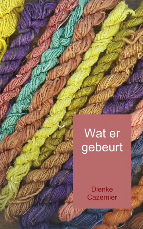 Omslag van Wat er gebeurt