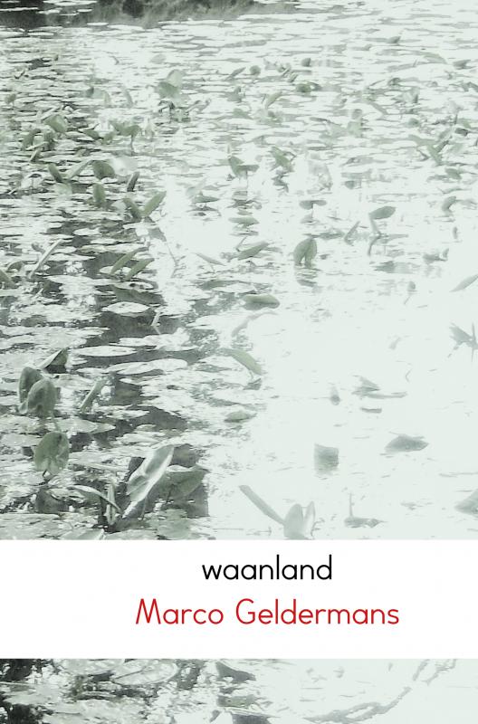 Omslag van Waanland