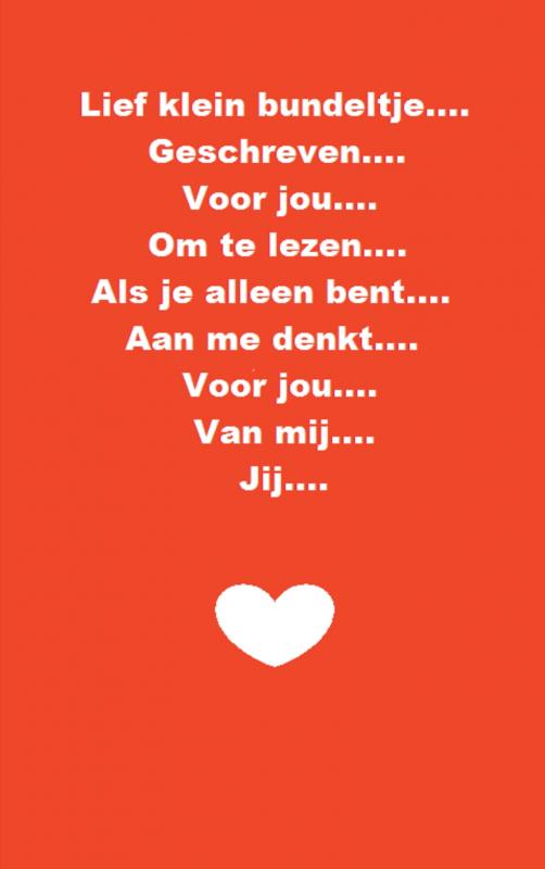 Omslag van Lief Klein bundeltje