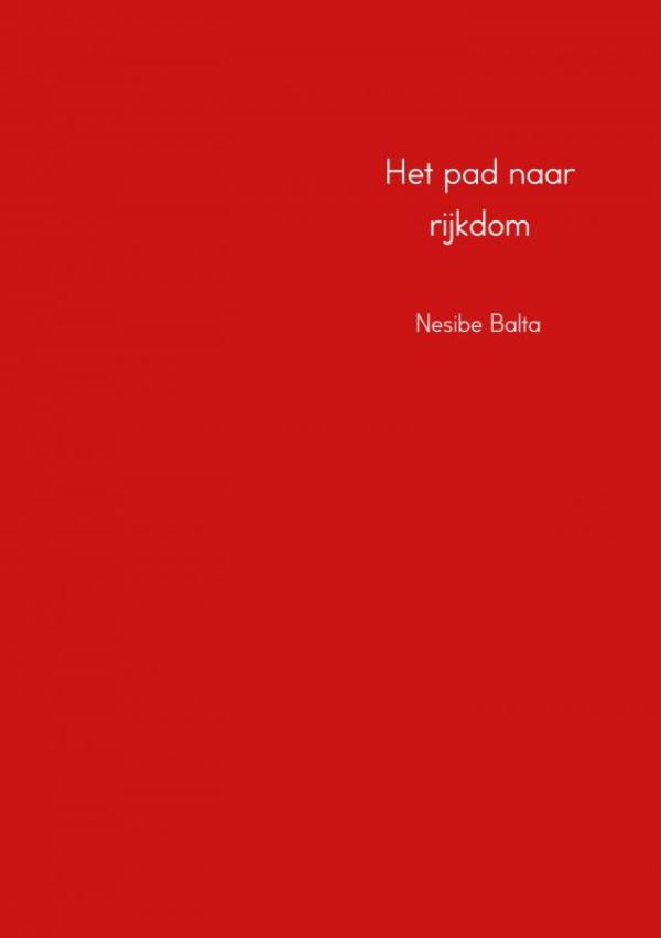 Omslag van Het pad naar rijkdom