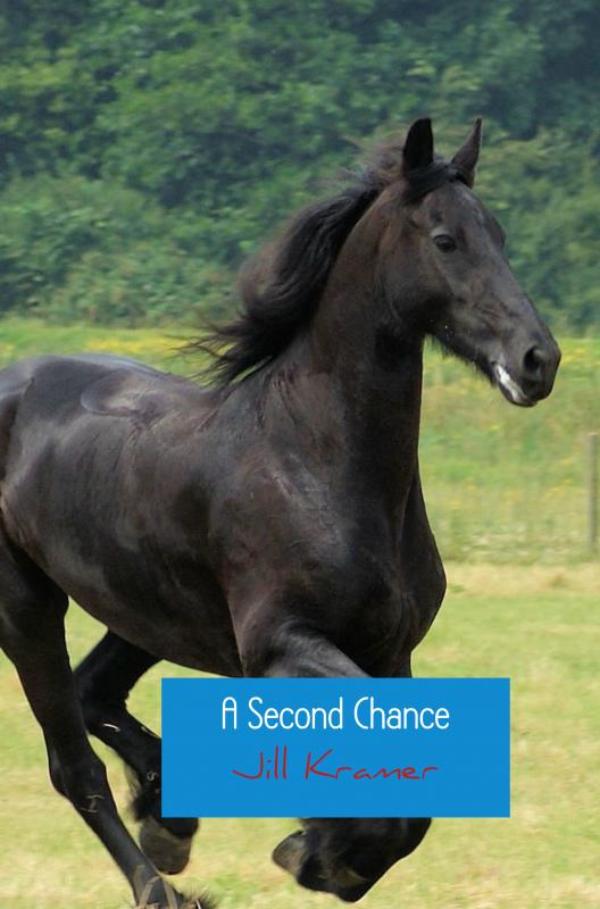 Omslag van A Second Chance
