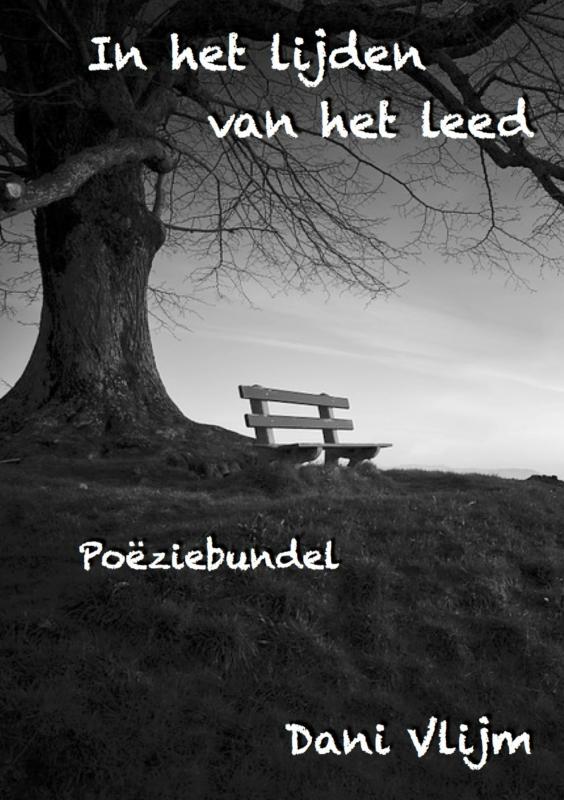 Omslag van In het lijden van het leed
