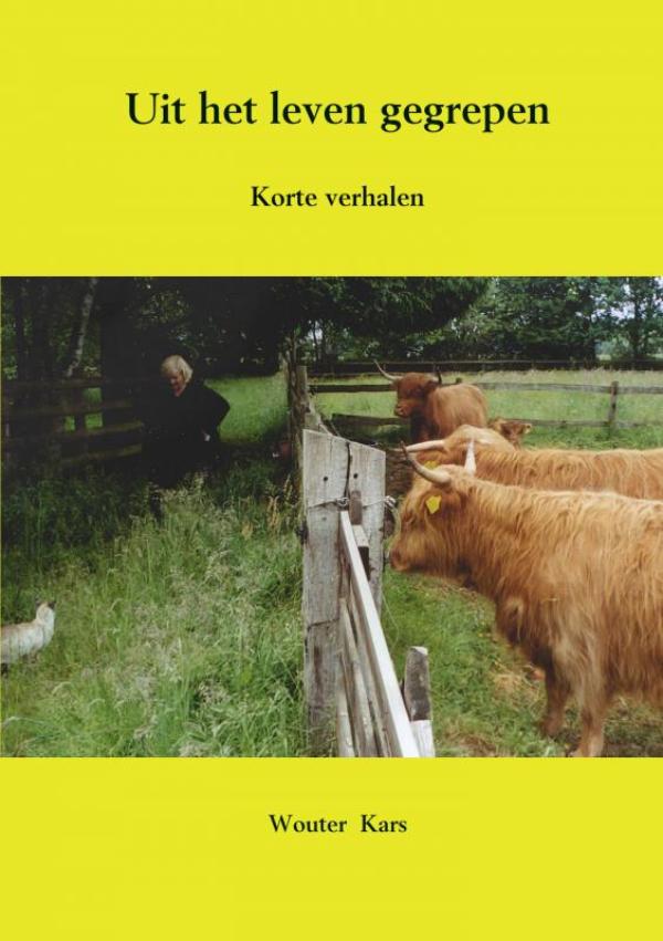Omslag van Uit het leven gegrepen