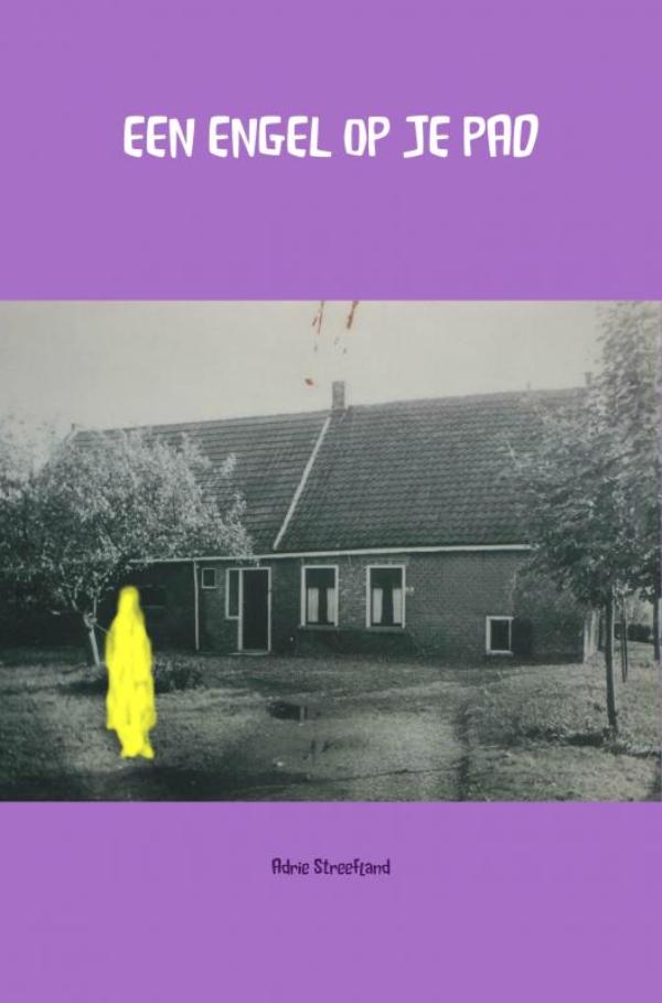 Omslag van Een engel op je pad