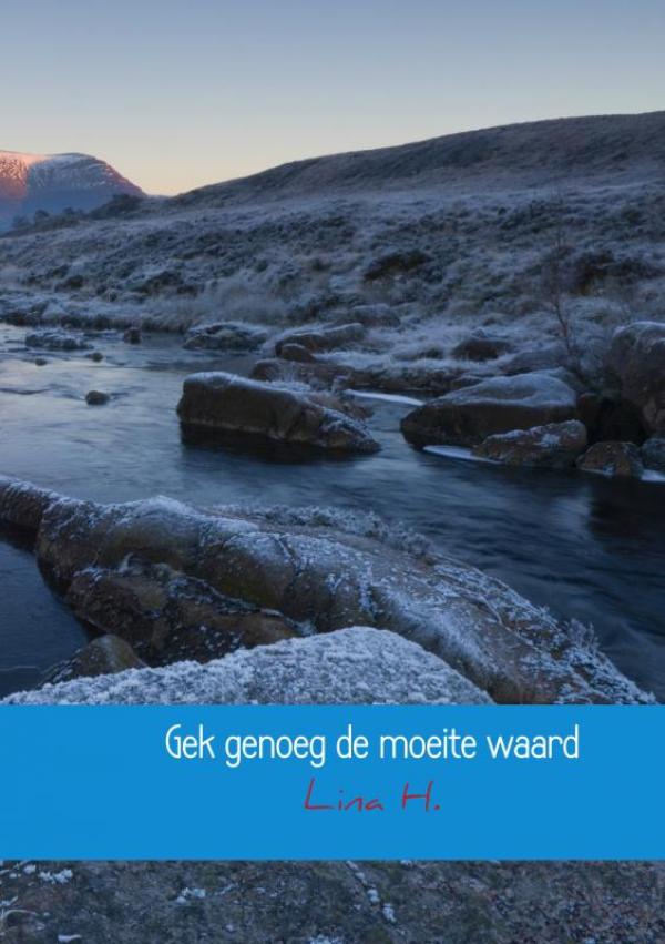 Omslag van Gek genoeg de moeite waard