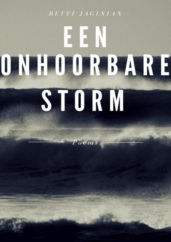 Omslag van Een onhoorbare storm