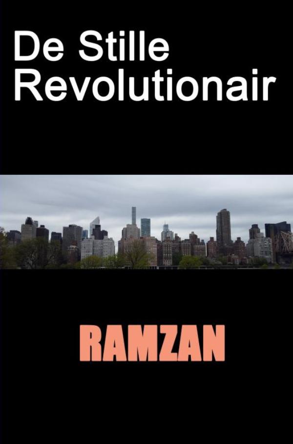 Omslag van De Stille Revolutionair