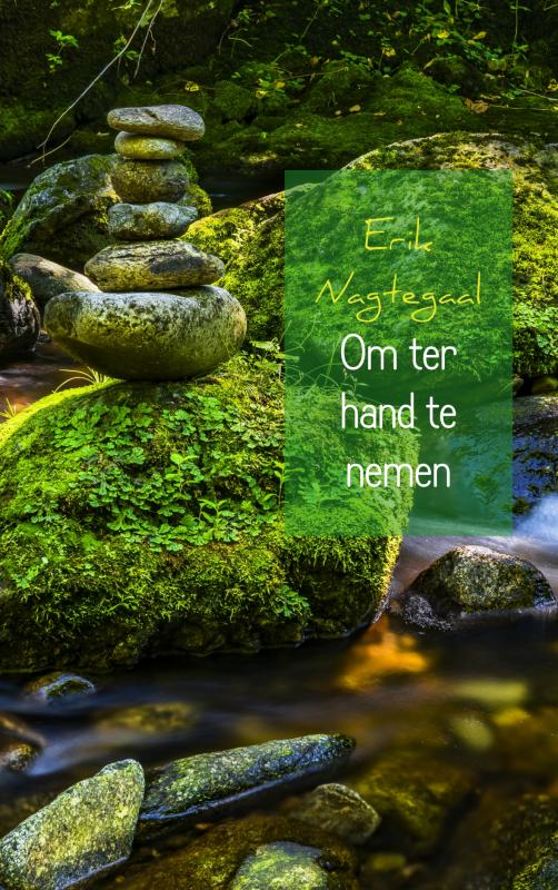 Omslag van Om ter hand te nemen
