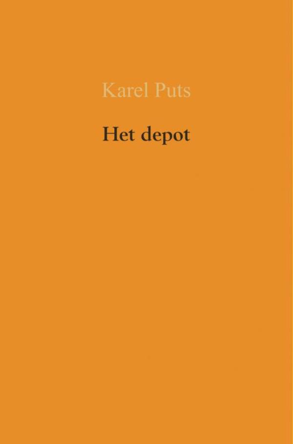 Omslag van Het depot