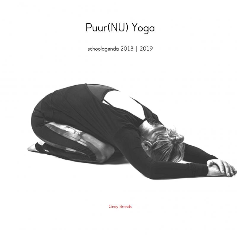 Omslag van Puur(NU) Yoga