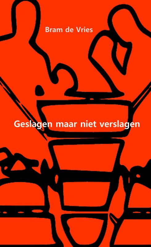 Omslag van Geslagen maar niet verslagen